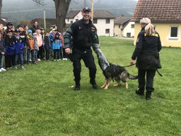 beseda s policii trochu jinak a k tomu navic prace policejnich psovodu 20